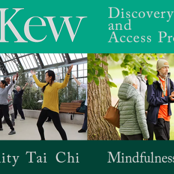 Kew wellbeing activities-Community Tai Chi and Mindfulness in Nature